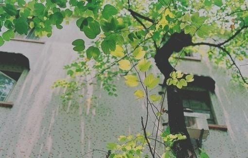 恰少年时风华正茂作文