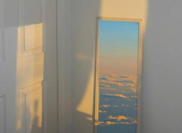 校园的柳树400字作文_学生作文