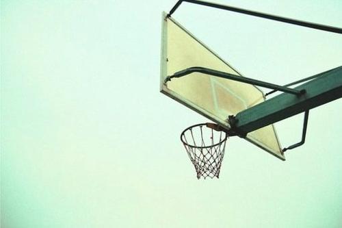 社会实践的作文精彩